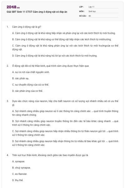 Giải SBT Sinh 11 CTST Cảm ứng ở động vật có đáp án