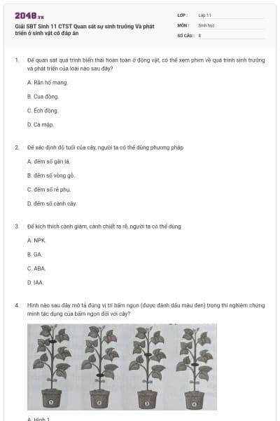 Giải SBT Sinh 11 CTST Quan sát sự sinh trưởng Và phát triển ở sinh vật có đáp án