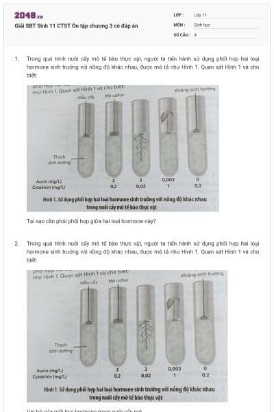Giải SBT Sinh 11 CTST Ôn tập chương 3 có đáp án