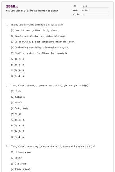 Giải SBT Sinh 11 CTST Ôn tập chương 4 có đáp án