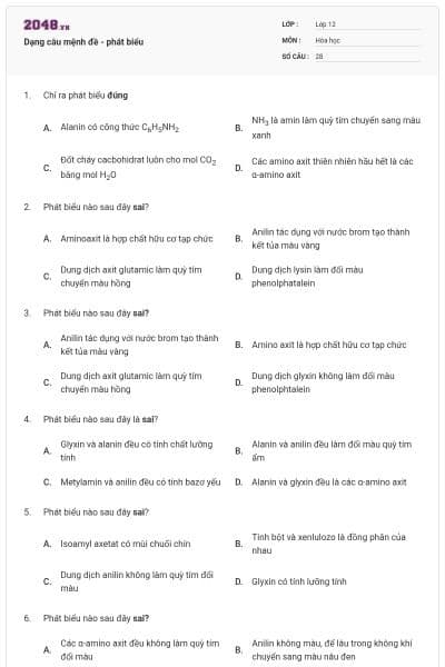 Dạng câu mệnh đề - phát biểu