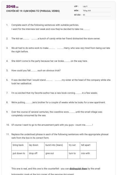 CHUYÊN ĐỀ 19:  CỤM ĐỘNG TỪ (PHRASAL VERBS)