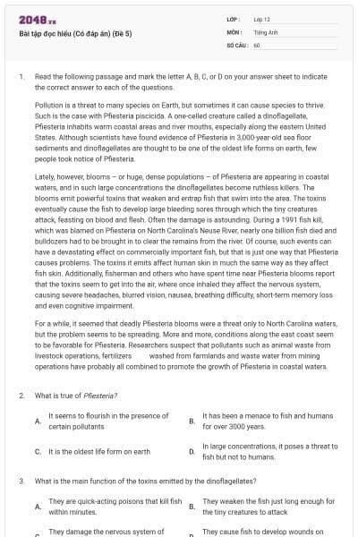 Bài tập đọc hiểu (Có đáp án) (Đề 5)