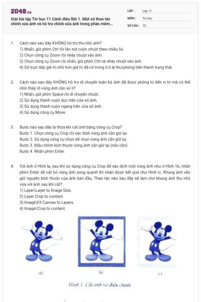Giải bài tập Tin học 11 Cánh diều Bài 1. Một số thao tác chỉnh sửa ảnh và hỗ trợ chỉnh sửa ảnh trong phần mềm GIMP có đáp án