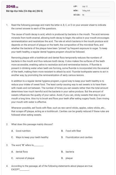 Bài tập đọc hiểu (Có đáp án) (Đề 6)