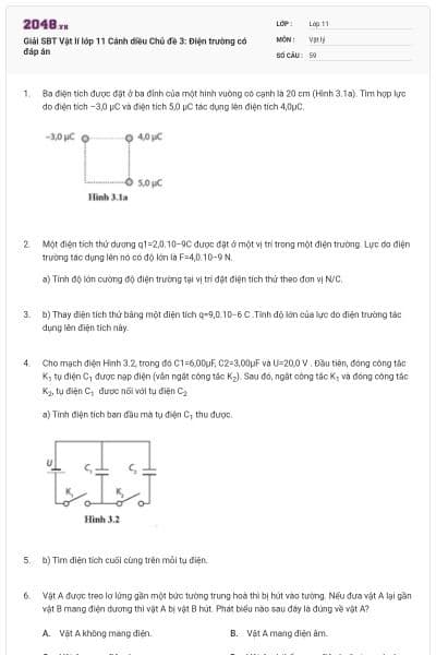 Giải SBT Vật lí  lớp 11 Cánh diều Chủ đề 3: Điện trường có đáp án