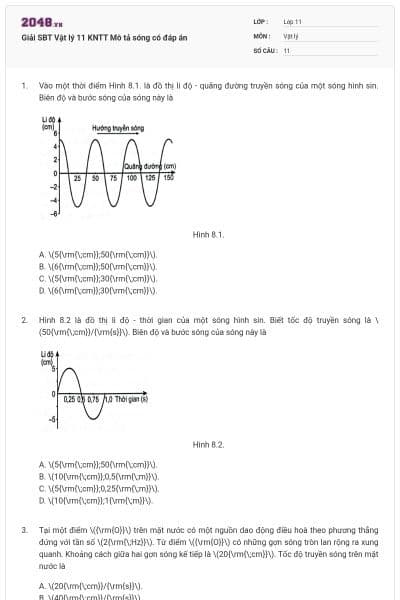 Giải SBT Vật lý 11 KNTT Mô tả sóng có đáp án