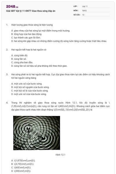 Giải SBT Vật lý 11 KNTT Giao thoa sóng đáp án