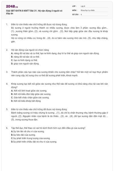 Giải SBT KHTN 8 KNTT Bài 31. Hệ vận động ở người có đáp án