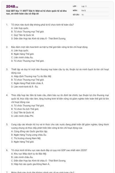 Giải SBT Địa 11 KNTT Bài 4: Một số tổ chức quốc tế và khu vực, an ninh toàn cầu có đáp án