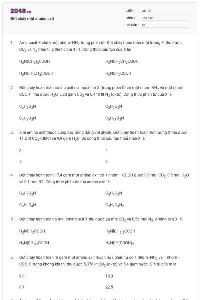 Đốt cháy một amino axit
