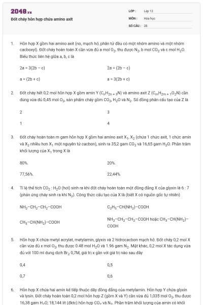 Đốt cháy hỗn hợp chứa amino axit