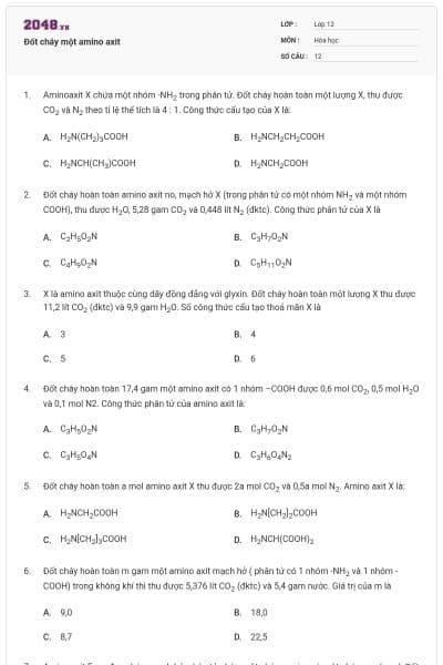 Đốt cháy một amino axit