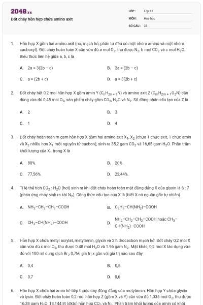 Đốt cháy hỗn hợp chứa amino axit