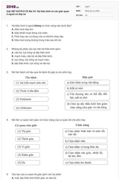 Giải SBT KHTN 8 CD Bài 34. Hệ thần kinh và các giác quan ở người có đáp án