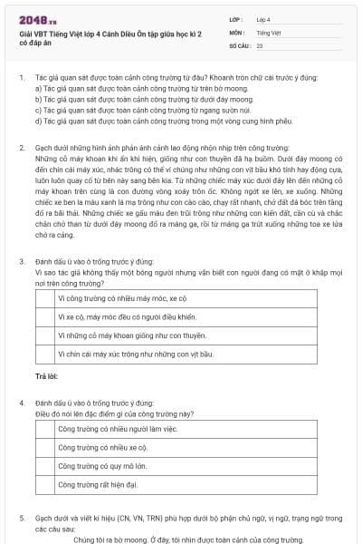 Giải VBT Tiếng Việt lớp 4 Cánh Diều Ôn tập giữa học kì 2 có đáp án