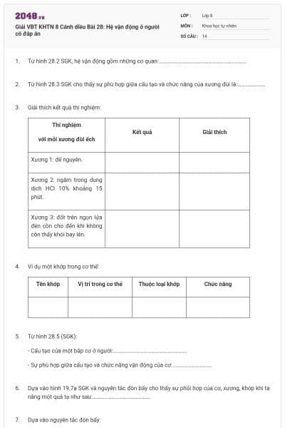 Giải VBT KHTN 8 Cánh diều Bài 28: Hệ vận động ở người có đáp án