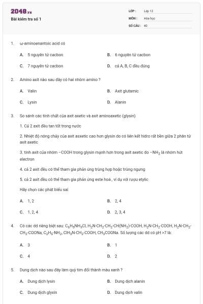 Bài kiểm tra số 1