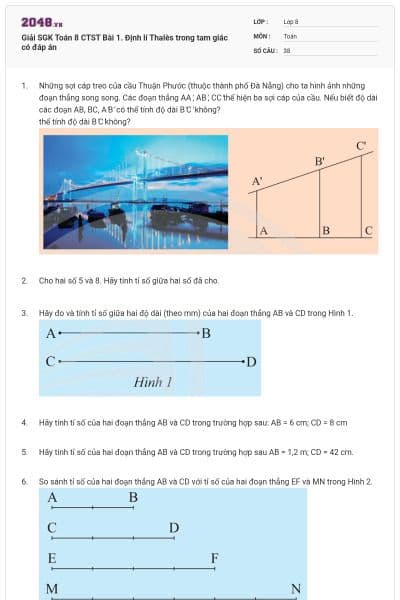 Giải SGK Toán 8 CTST Bài 1. Định lí Thalès trong tam giác có đáp án