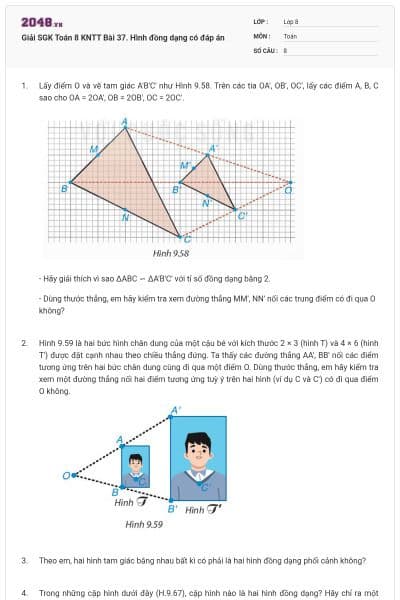 Giải SGK Toán 8 KNTT Bài 37. Hình đồng dạng có đáp án