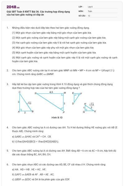 Giải SBT Toán 8 KNTT Bài 36. Các trường hợp đồng dạng của hai tam giác vuông có đáp án