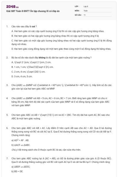 Giải SBT Toán 8 KNTT Ôn tập chương IX có đáp án