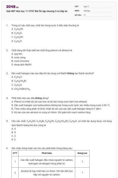 Giải SBT Hóa học 11 CTST Bài Ôn tập chương 5 có đáp án