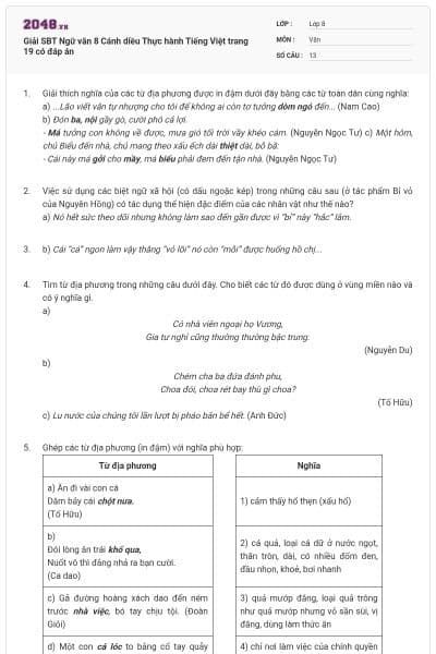 Giải SBT Ngữ văn 8 Cánh diều Thực hành Tiếng Việt trang 19 có đáp án