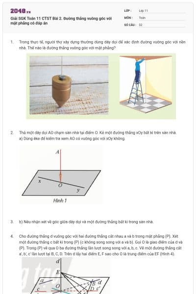 Giải SGK Toán 11 CTST Bài 2. Đường thẳng vuông góc với mặt phẳng có đáp án