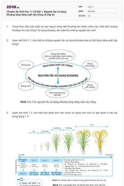 Chuyên đề Sinh Học 11 CD Bài 1: Nguyên tắc sử dụng khoáng tăng năng suất cây trồng có đáp án
