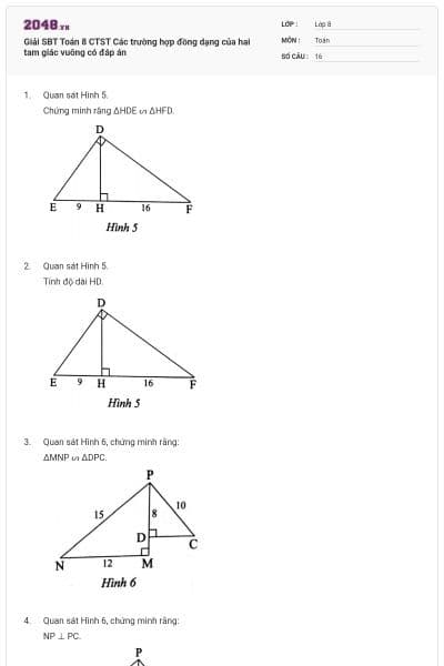 Giải SBT Toán 8 CTST Các trường hợp đồng dạng của hai tam giác vuông có đáp án