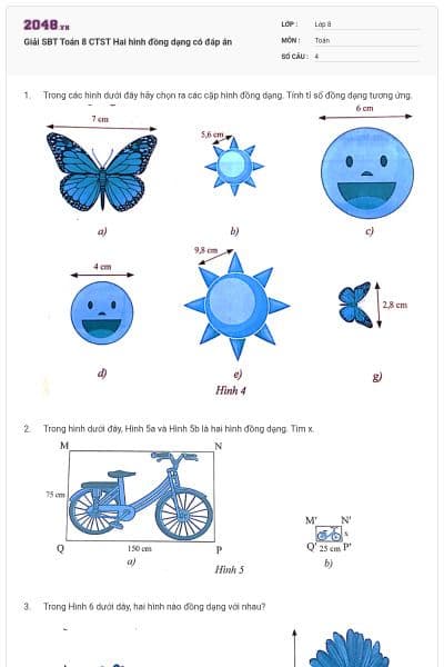 Giải SBT Toán 8 CTST Hai hình đồng dạng có đáp án