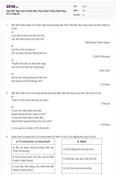 Giải SBT Ngữ văn 8 Cánh diều Thực hành Tiếng Việt trang 43 có đáp án