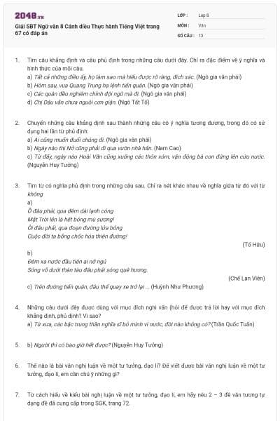 Giải SBT Ngữ văn 8 Cánh diều Thực hành Tiếng Việt trang 67 có đáp án