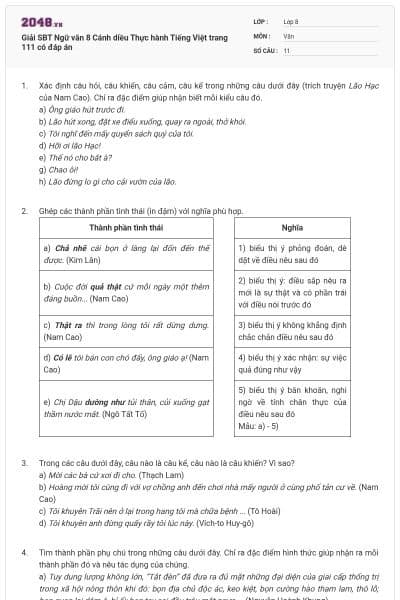 Giải SBT Ngữ văn 8 Cánh diều Thực hành Tiếng Việt trang 111 có đáp án