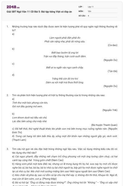 Giải SBT Ngữ Văn 11 CD Bài 5: Bài tập tiếng Việt có đáp án