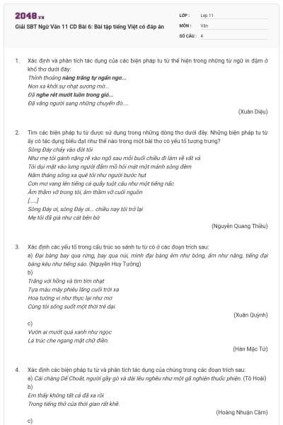 Giải SBT Ngữ Văn 11 CD Bài 6: Bài tập tiếng Việt có đáp án