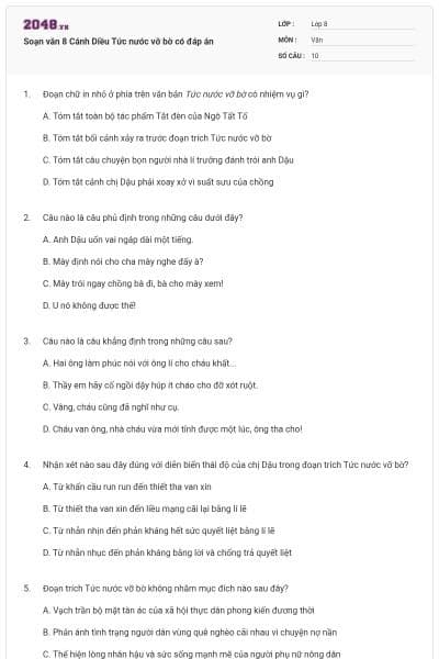 Soạn văn 8 Cánh Diều Tức nước vỡ bờ có đáp án