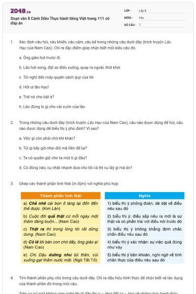 Soạn văn 8 Cánh Diều Thực hành tiếng Việt trang 111 có đáp án
