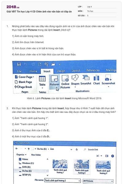 Giải VBT Tin học Lớp 4 CD Chèn ảnh vào văn bản có đáp án