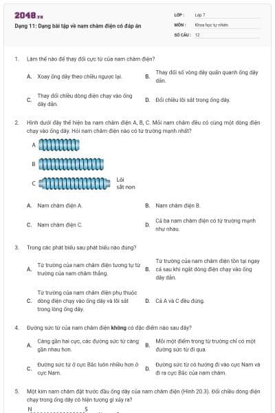 Dạng 11: Dạng bài tập về nam châm điện có đáp án