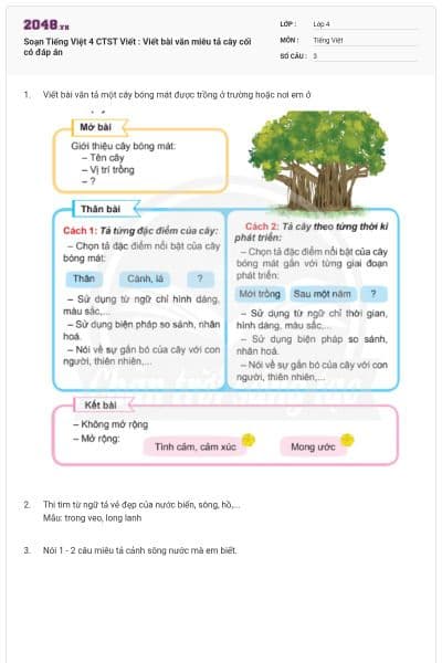 Soạn Tiếng Việt 4 CTST Viết : Viết bài văn miêu tả cây cối có đáp án