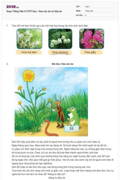 Soạn Tiếng Việt 4 CTST Đọc : Hoa cúc áo có đáp án