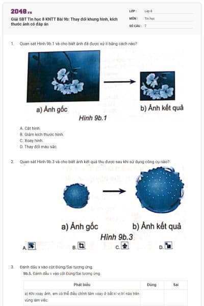 Giải SBT Tin học 8 KNTT Bài 9b: Thay đổi khung hình, kích thước ảnh có đáp án