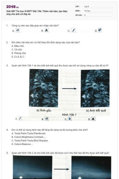 Giải SBT Tin học 8 KNTT Bài 10b: Thêm văn bản, tạo hiệu ứng cho ảnh có đáp án