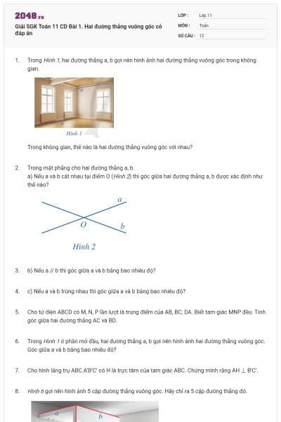 Giải SGK Toán 11 CD Bài 1. Hai đường thẳng vuông góc có đáp án