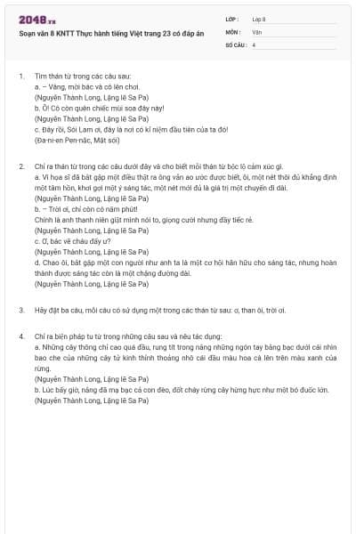 Soạn văn 8 KNTT Thực hành tiếng Việt trang 23 có đáp án