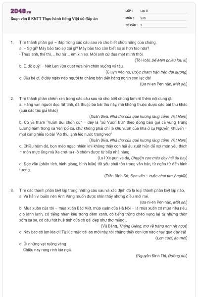 Soạn văn 8 KNTT Thực hành tiếng Việt có đáp án