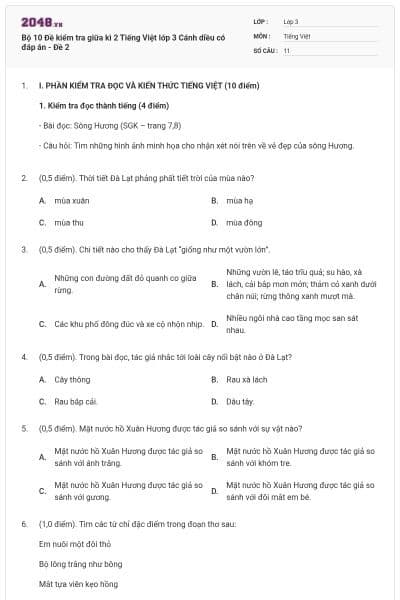 Bộ 10 Đề kiểm tra giữa kì 2 Tiếng Việt lớp 3 Cánh diều có đáp án - Đề 2