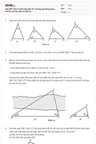 Giải SBT Toán 8 Cánh diều Bài 35. Trường hợp đồng dạng thứ ba của tam giác có đáp án
